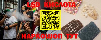 амф Можга
