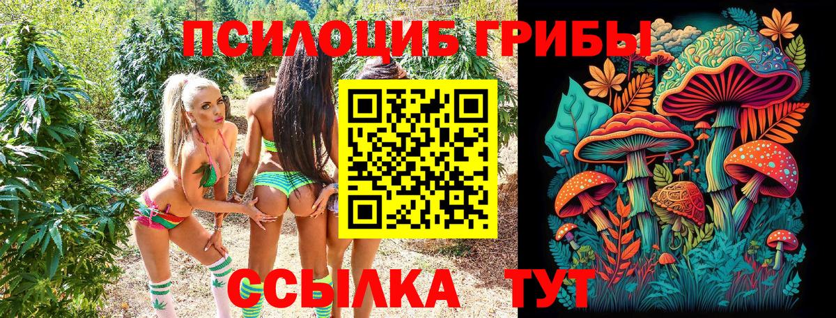 Галлюциногенные грибы Psilocybine cubensis Таганрог