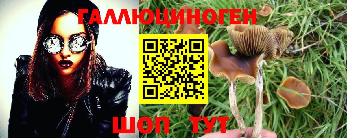 Таганрог  Псилоцибиновые грибы Psilocybine cubensis  Вход с VPN  даркнет сайт  Галлюциногенные грибы GOLDEN TEACHER 